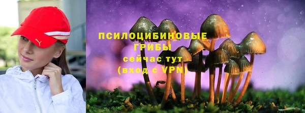 СК Нефтекумск