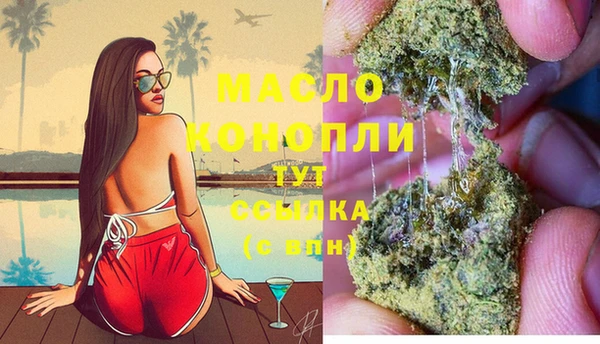дживик Надым