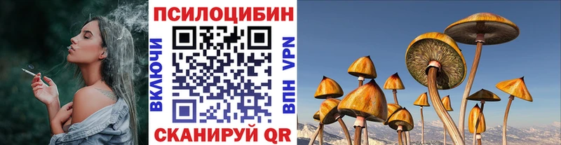 blacksprut   Псков  shop какой сайт  Псилоцибиновые грибы мицелий 